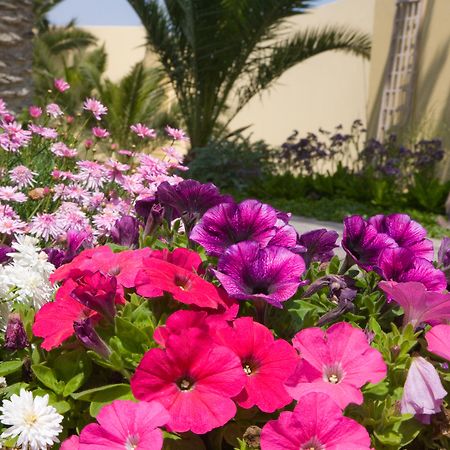 סווקופמונד Cornerstone Guesthouse מראה חיצוני תמונה