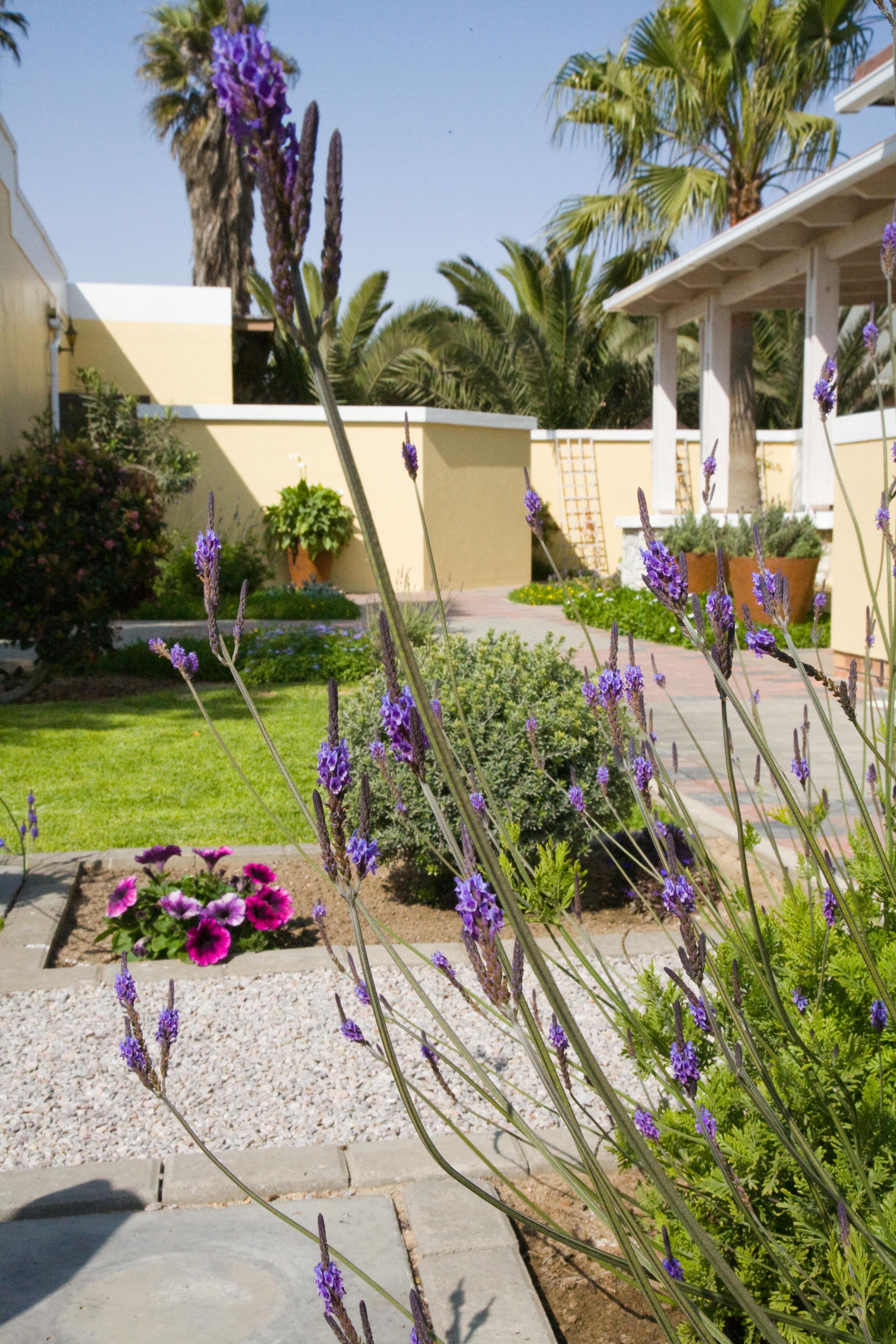 סווקופמונד Cornerstone Guesthouse מראה חיצוני תמונה